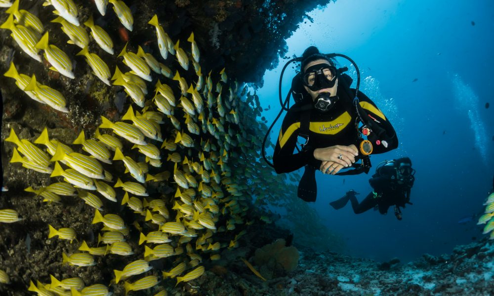 Essential Diving Rules for Safe Underwater Adventures