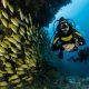 Essential Diving Rules for Safe Underwater Adventures