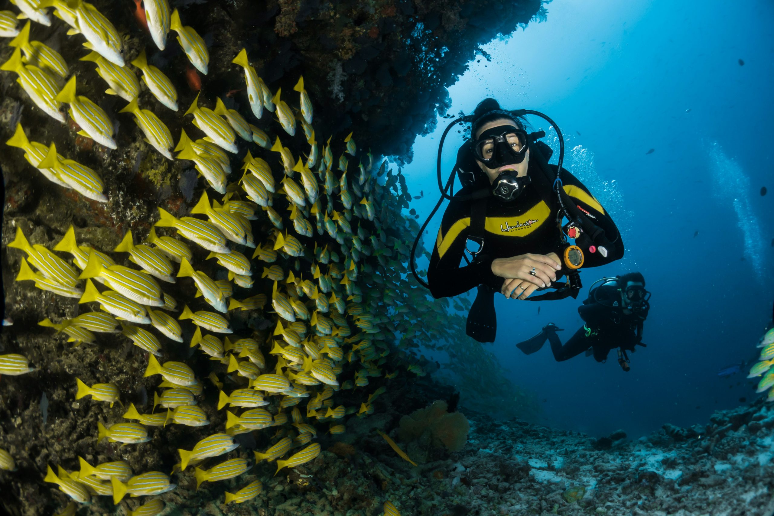 Essential Diving Rules for Safe Underwater Adventures